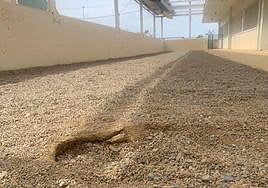 Estado en el que se encuentra el patio de los alumnos de Infantil del Colegio 'San Indalecio' de La Cañada.