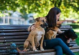 Una persona junto a sus mascotas.