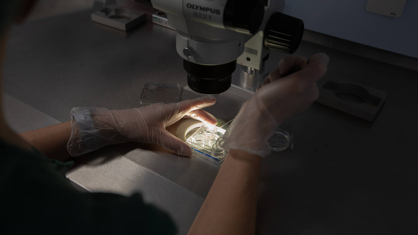 Trabajadora de la Unidad de Reproducción Humana del Virgen de las Nieves de Granada.