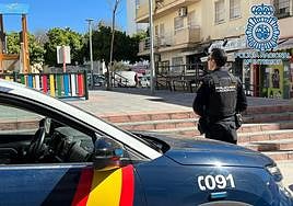 Detenido por matar a patadas y pisotones a un perro delante de su dueña de 12 años,