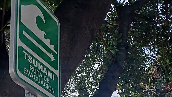Señal de evacuación de un tsunami.