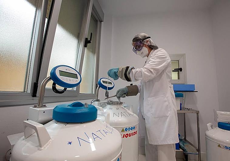 Una trabajadora del Virgen de las Nieves maneja los bidones que guardan los ovocitos vitrificados.