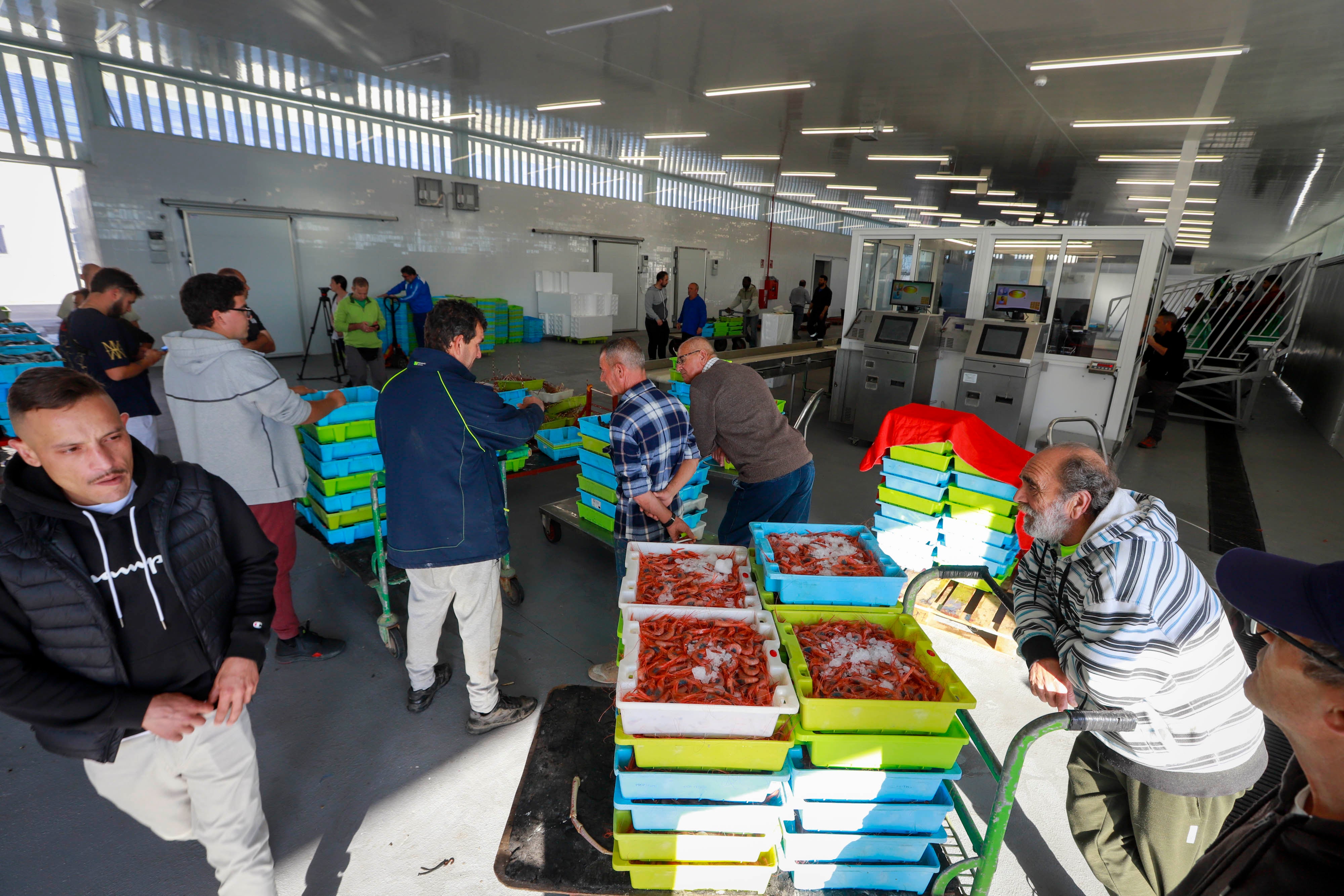 La nueva lonja de Motril desde dentro