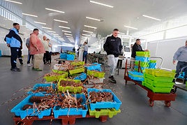 Subasta de pescado en la lonja este lunes.
