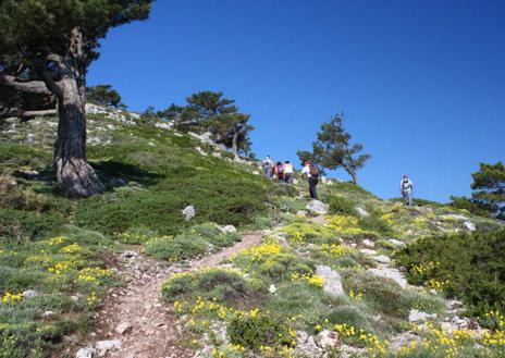 Imagen secundaria 1 - Arriba, senderistas admirando las vistas; debajo, ascenso hacia la cumbre entre pinos salgareños y paraje de Las Santas, a los pies de La Sagra.