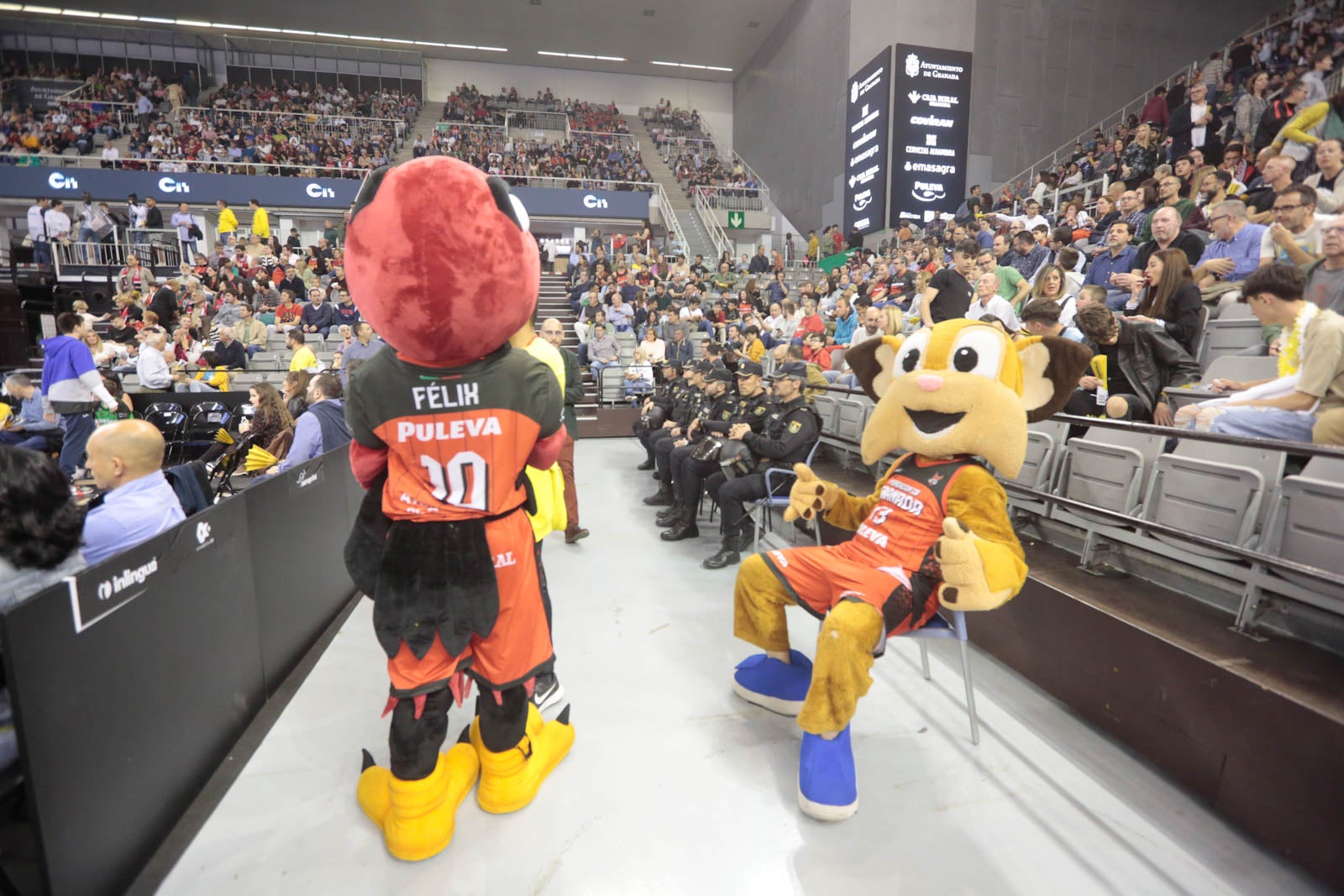 Encuéntrate en el Palacio durante el Covirán-Murcia