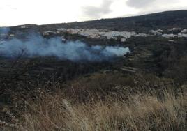 Incendio forestal en Paterna.