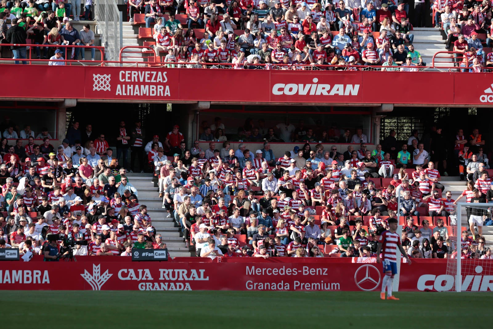 Encuéntrate en Los Cármenes en el Granada-Oviedo