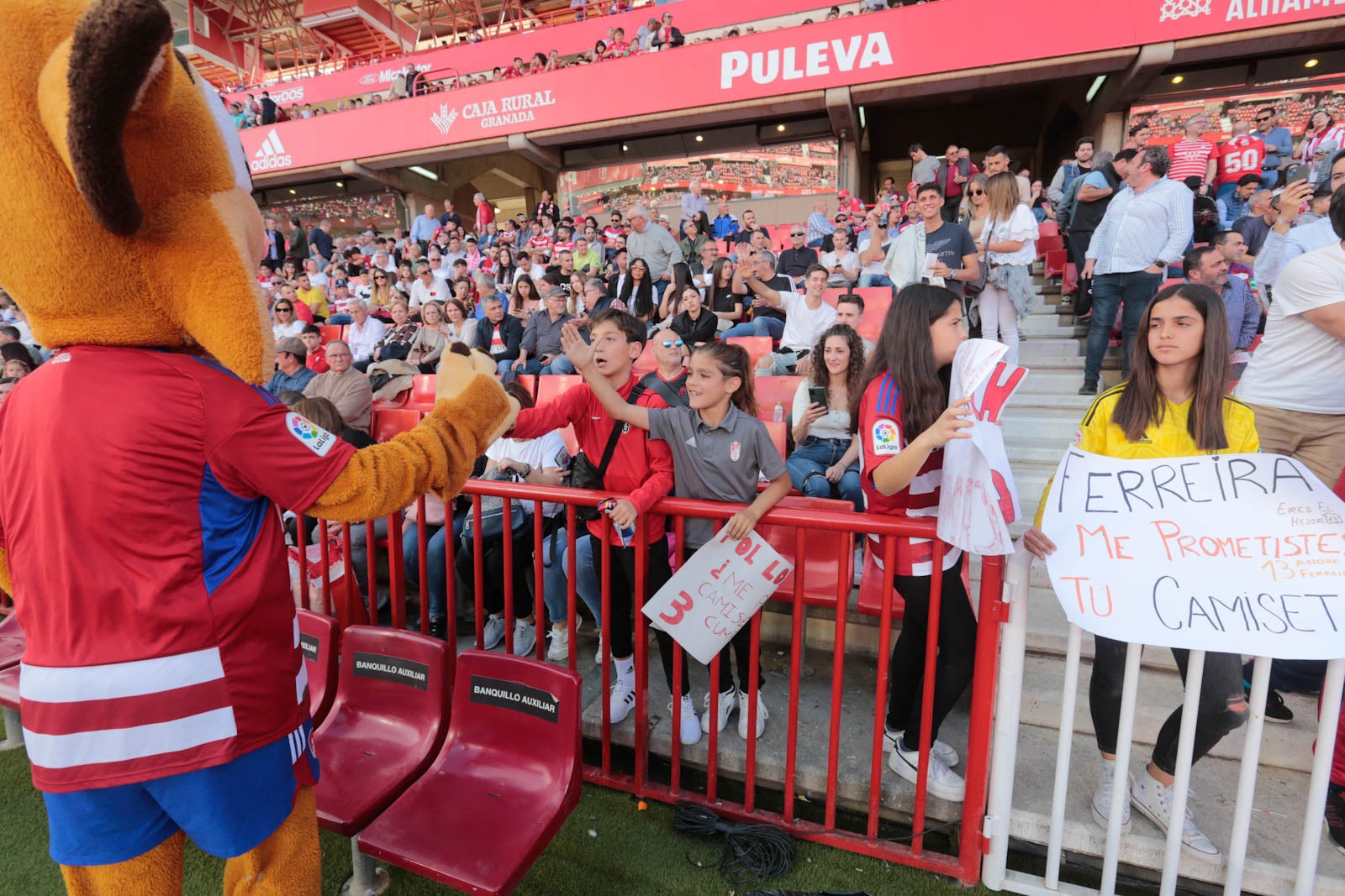 Encuéntrate en Los Cármenes en el Granada-Oviedo