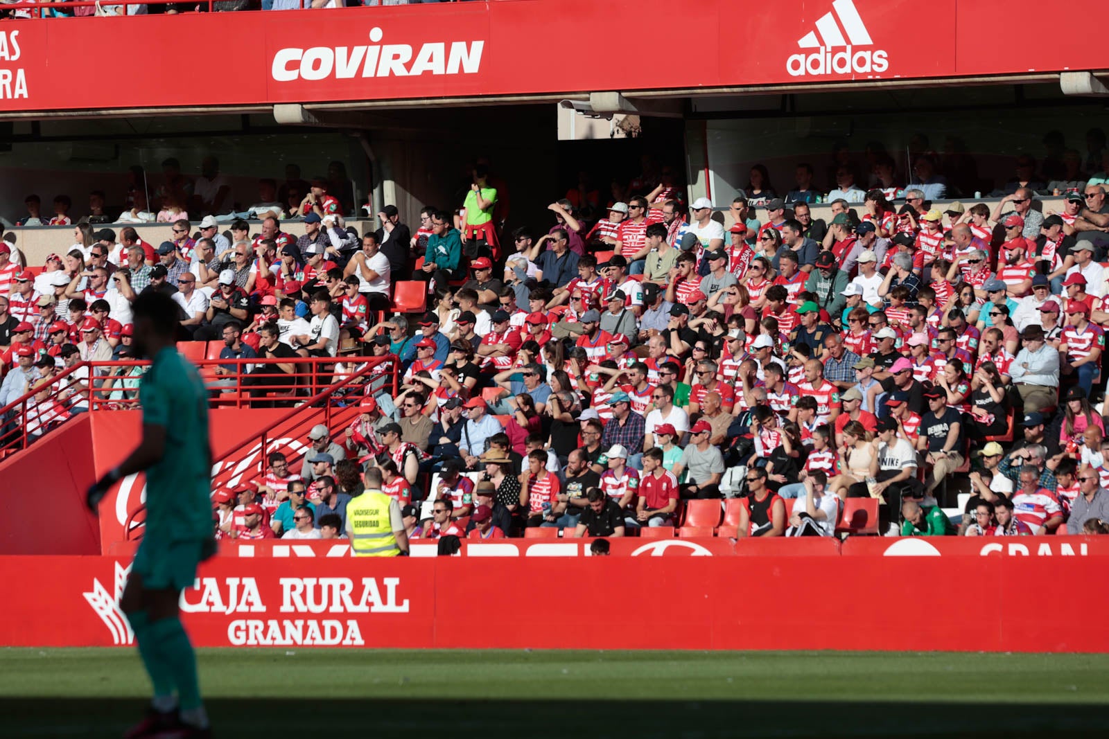 Encuéntrate en Los Cármenes en el Granada-Oviedo