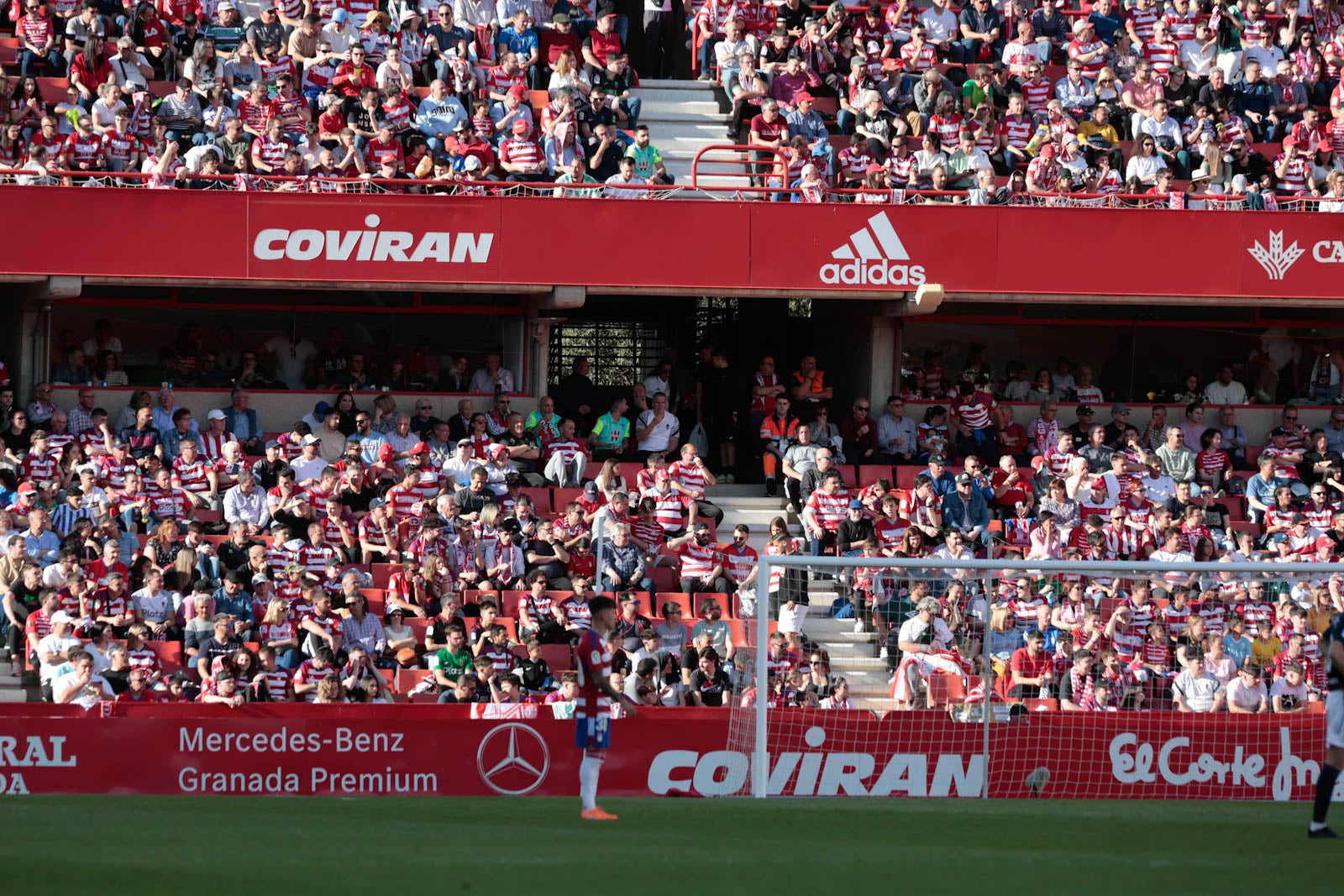Encuéntrate en Los Cármenes en el Granada-Oviedo