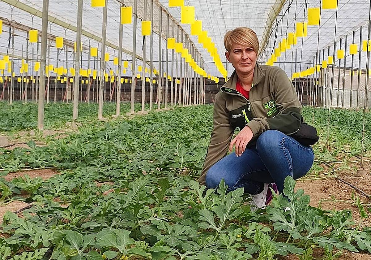 María del Mar Amat Dueñas en su finca de sandía para primavera.