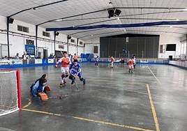 Lance de un partido del Patín Cájar.