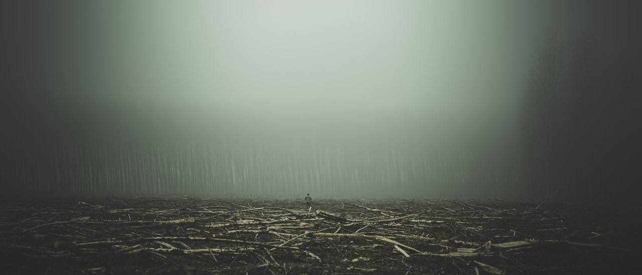 Foto ganadora del concurso con el título 'Desolación'.
