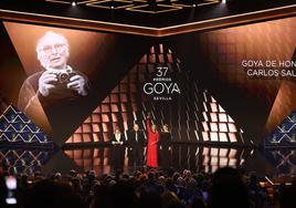 Imagen de la última gala de los Goya, celebrada en Sevilla el pasado mes de febrero.