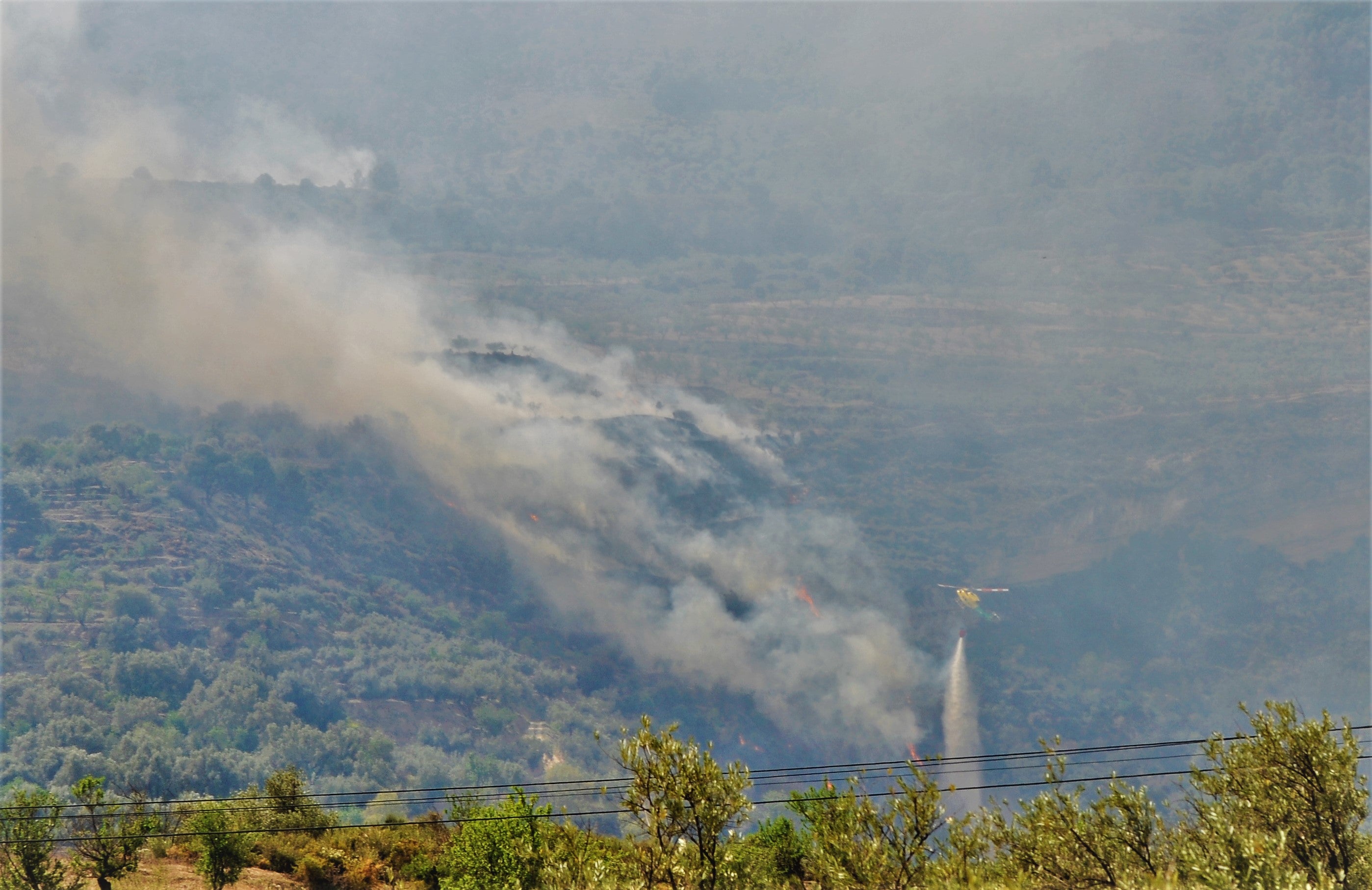 Humareda provocada por el fuego de Albuñuelas.
