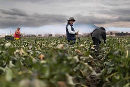 Agricultorres de la Vega de Granada.