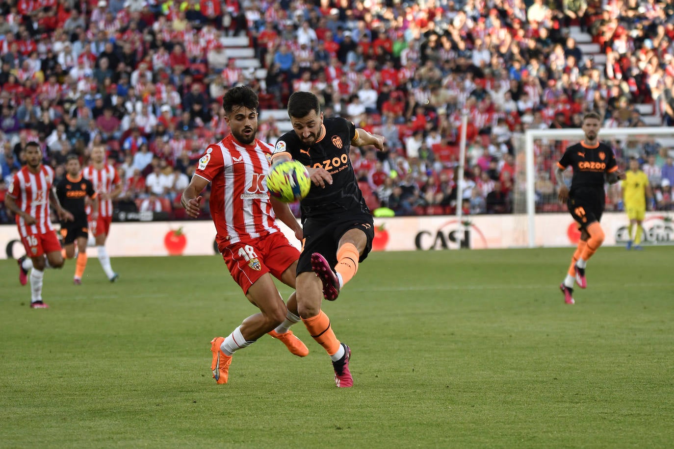 El Almería-Valencia, a pie de campo