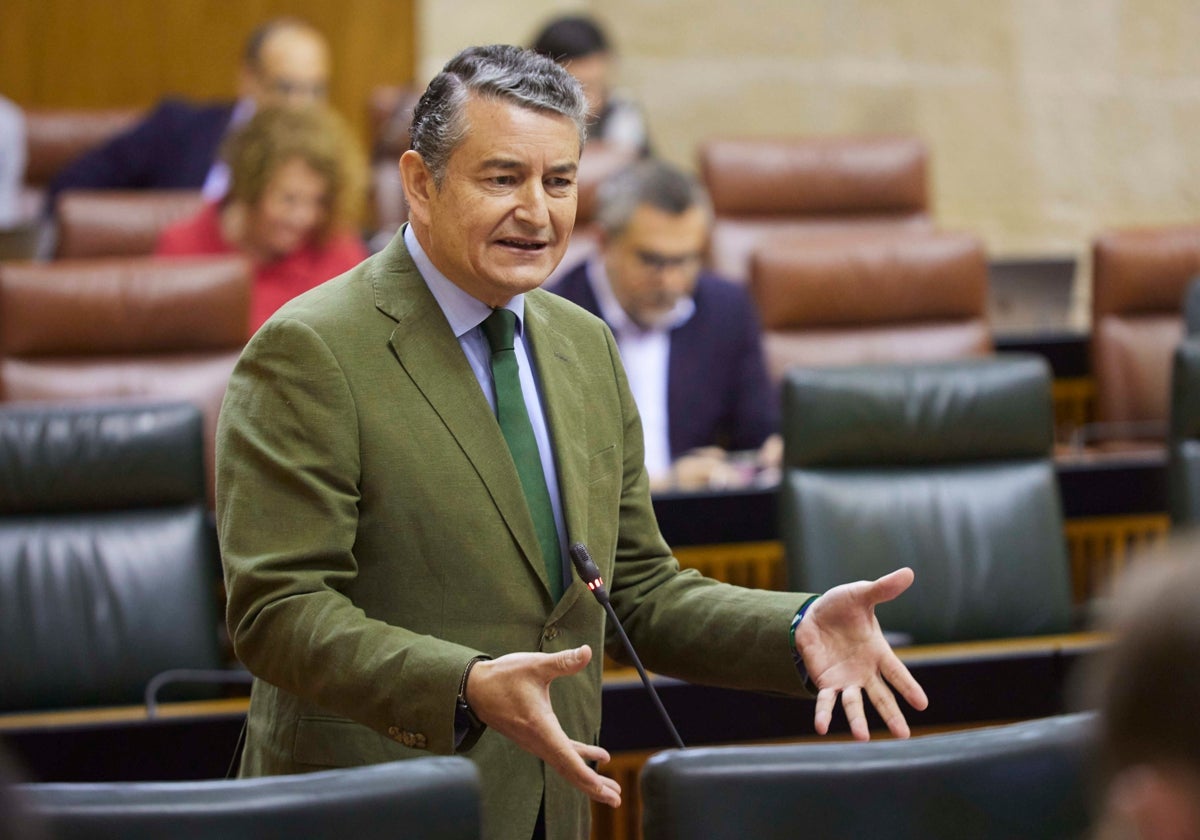 Antonio Sanz, ayer durante una intervención en el Parlamento.