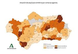 Terreno agrietado en un olivar por la falta de lluvias en una imagen de archivo.
