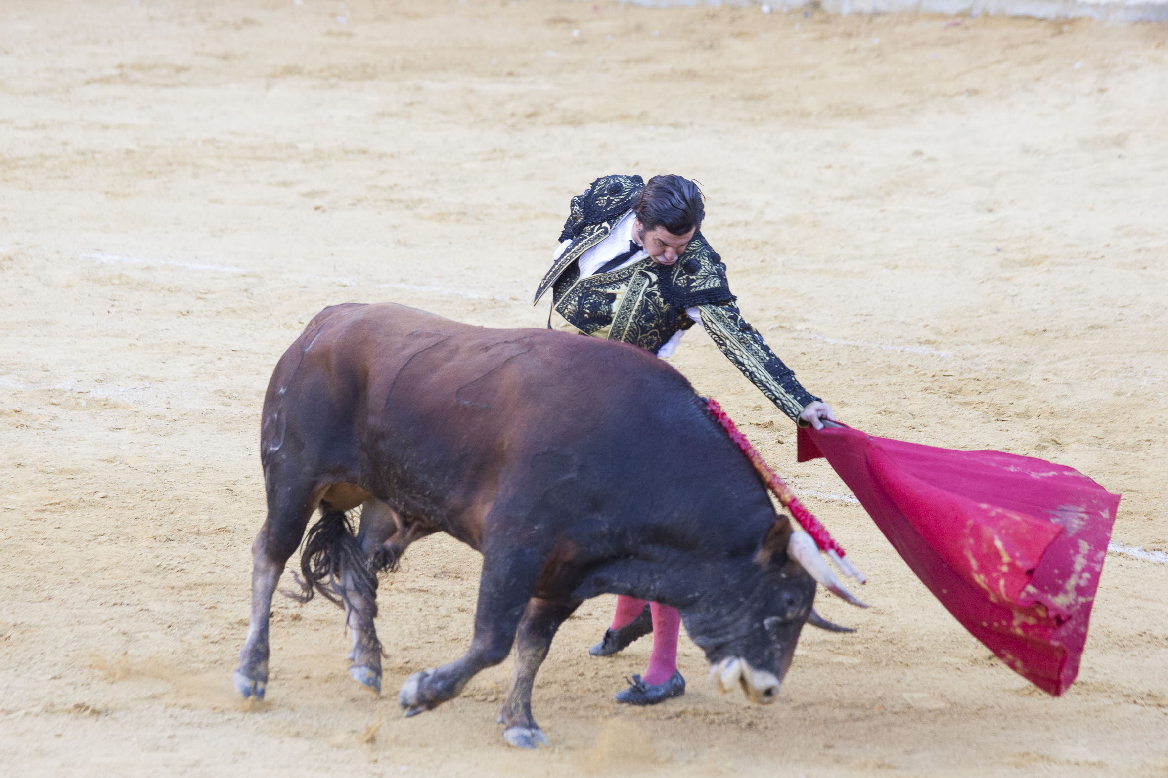 Morante de la Pueba torea en la Monumental de Frascuelo en 2021.