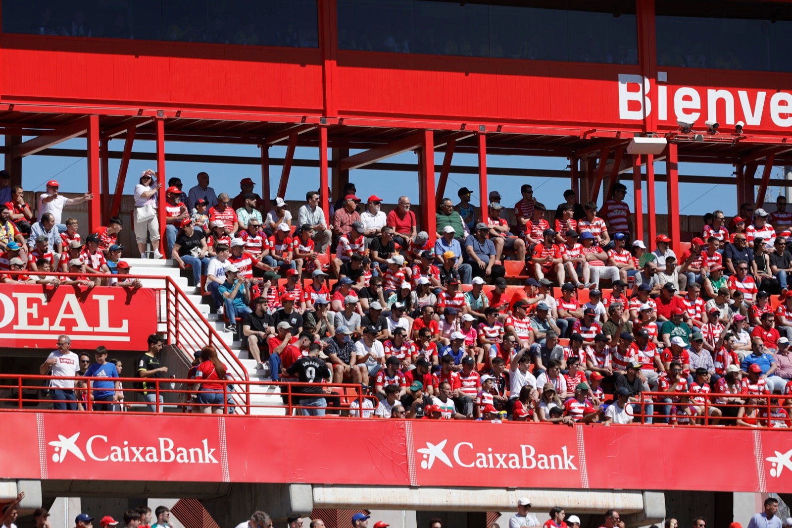Encuéntrate en Los Cármenes en el Granada-Las Palmas