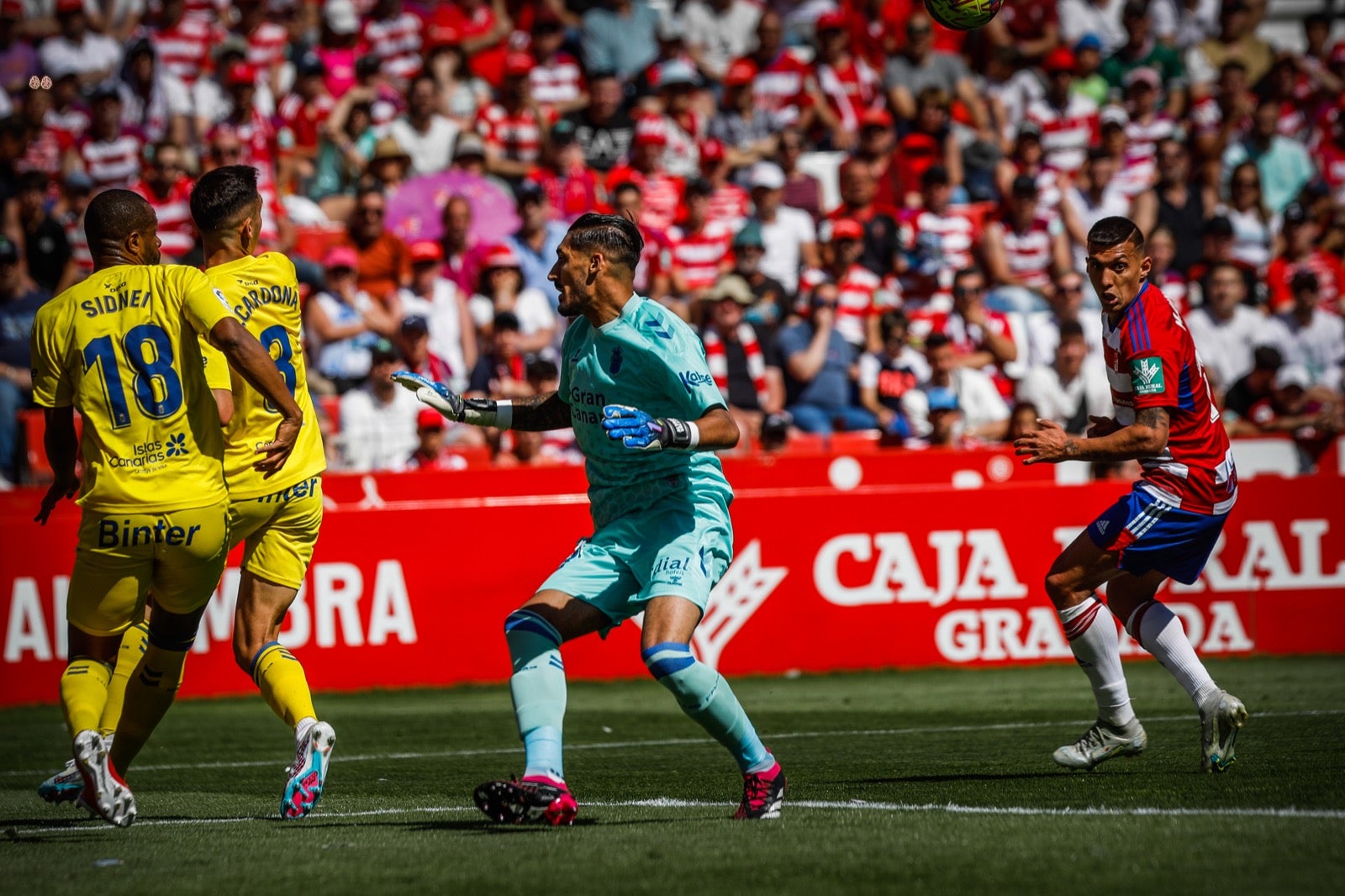 El triunfo del Granada ante Las Palmas, a ras de césped