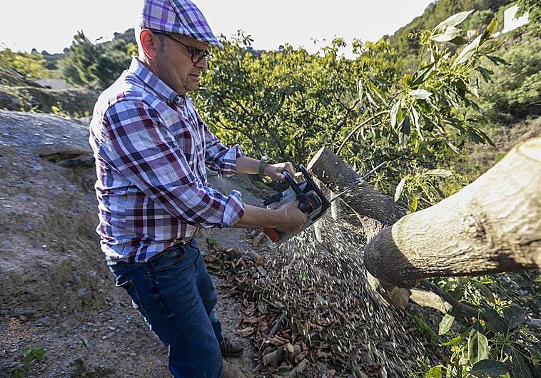 «He cortado los árboles que mi padre plantó hace 30 años»