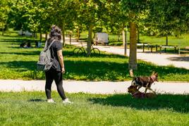 Una mujer pasea a su perro por las inmediaciones de donde ocurrieron los hechos.