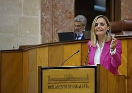 Maribel Sánchez Torregrosa, en el Parlamento de Andalucía.