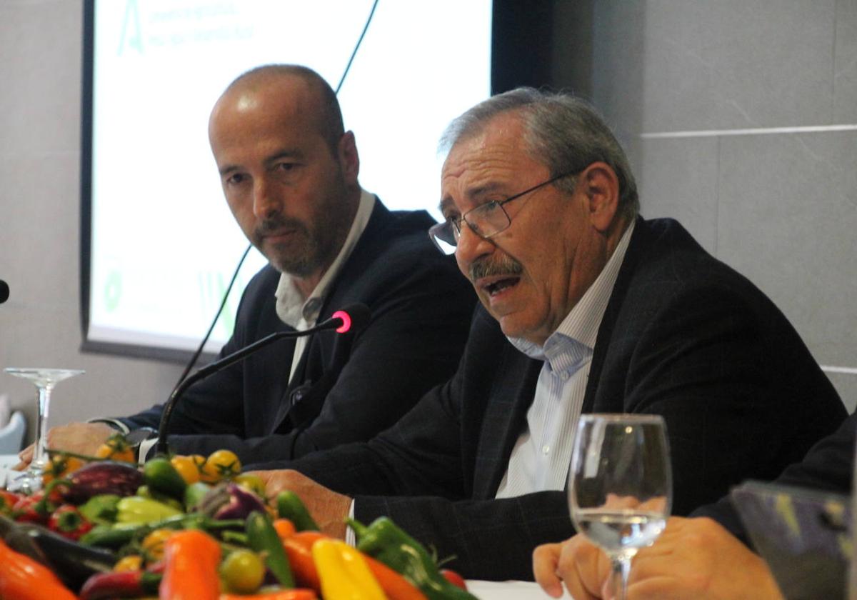 Hortiespaña lanza la campaña 'es de invernadero. Frutas y hortalizas sostenibles de europa' | ideal