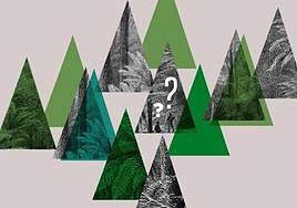 Responsabilidad medioambiental