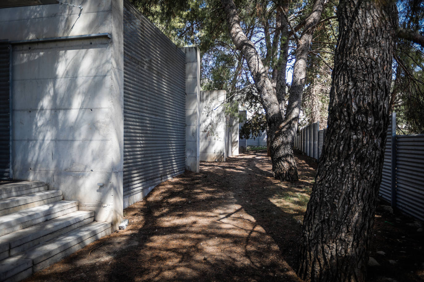 Imagen secundaria 1 - lLa casa Acícula está conectada con la naturaleza y la vez la integra. 