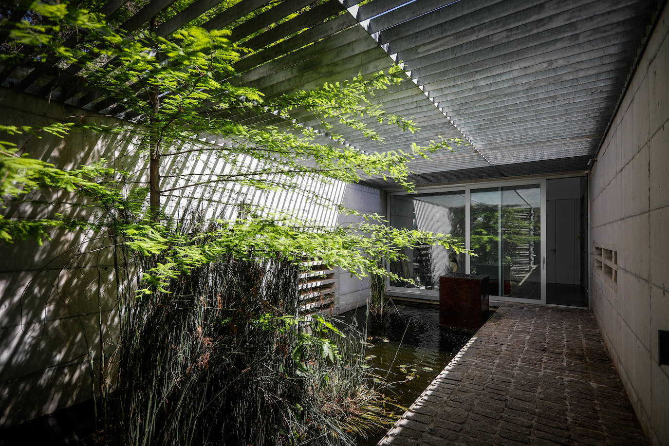 Imagen principal - lLa casa Acícula está conectada con la naturaleza y la vez la integra. 