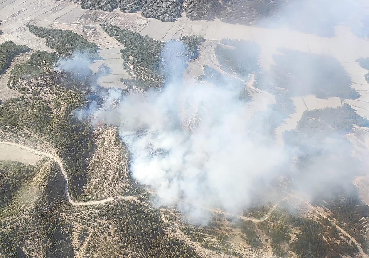 Zona en la que se ha producido el incendio, en Benamaurel.