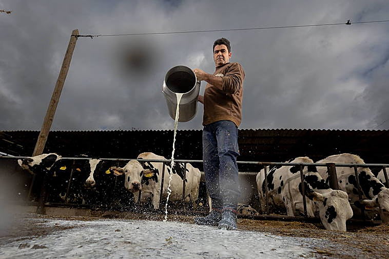 José Miguel Rodríguez, uno de los ganaderos granadinos que vuelve a tirar su leche.