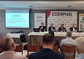 David Baños, Juan Carlos Pérez Mesa, Juan Coromina y Daniel Lacalle.