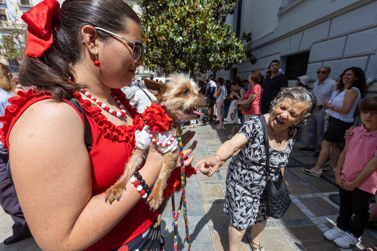 El Día de la Cruz, en imágenes
