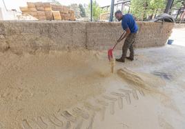 Un empleado trabajando en un almacén de forrajes y el maíz, casi vacío.