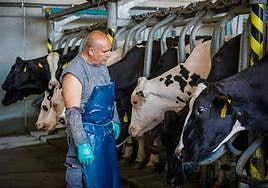 Una de las vaquerías granadinas integradas en la cooperativa Alba Ganaderos.