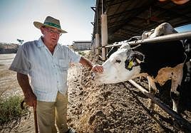 El presidente de la cooperativa Alba Ganaderos, José Antonio Bolívar, en la ganadería Regidor.