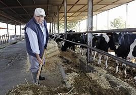 Manuel García González, trabaja en la explotación ganadera que posee en la Vega de Granada.