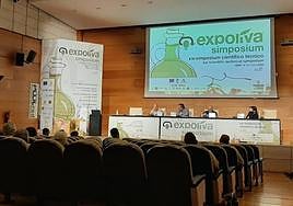 Simposium que tiene lugar en el auditorio Guadalquivir de Ifeja.