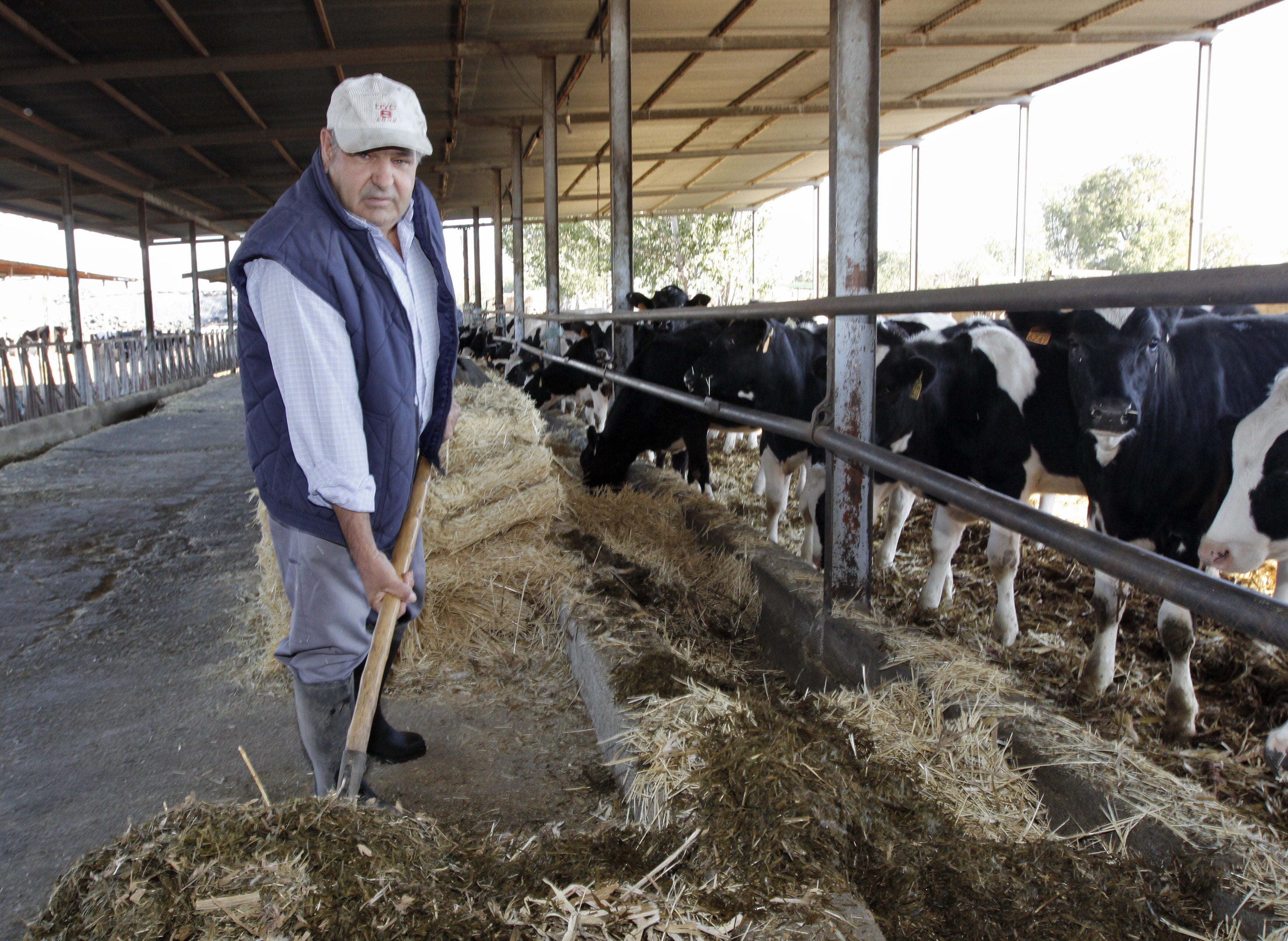 Manuel García González, trabaja en la explotación ganadera que posee en la Vega de Granada.