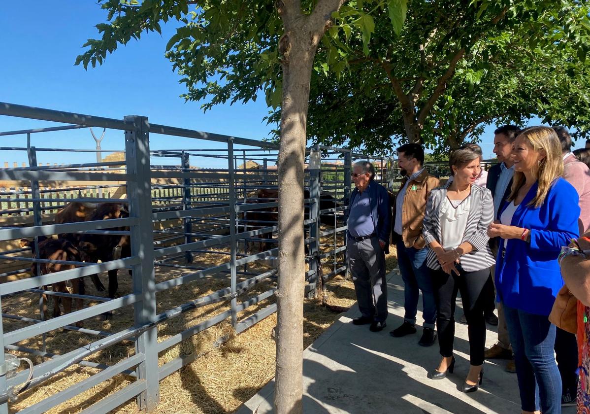 Apertura de la Feria de Ganado de La Carolina, origen de las fiestas patronales.