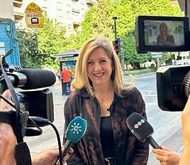 Vox se opone a la Zona de Bajas Emisiones en Granada «porque criminaliza a los conductores»