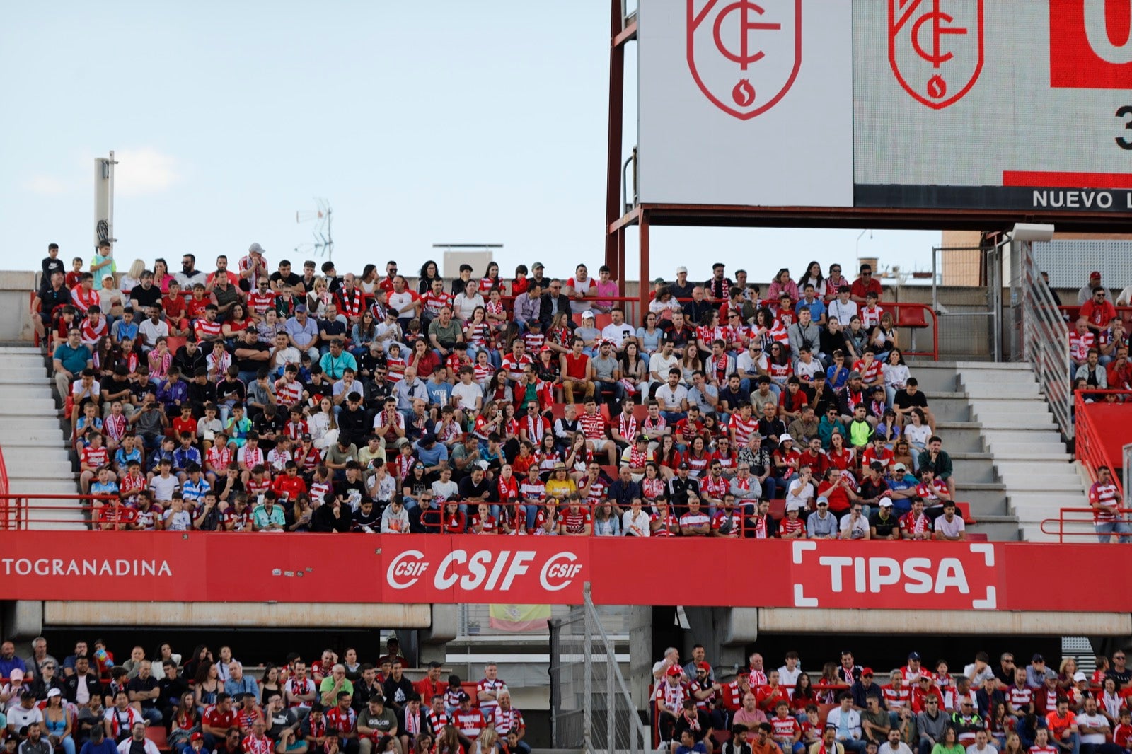 Encuéntrate en la grada en el Granada-Lugo