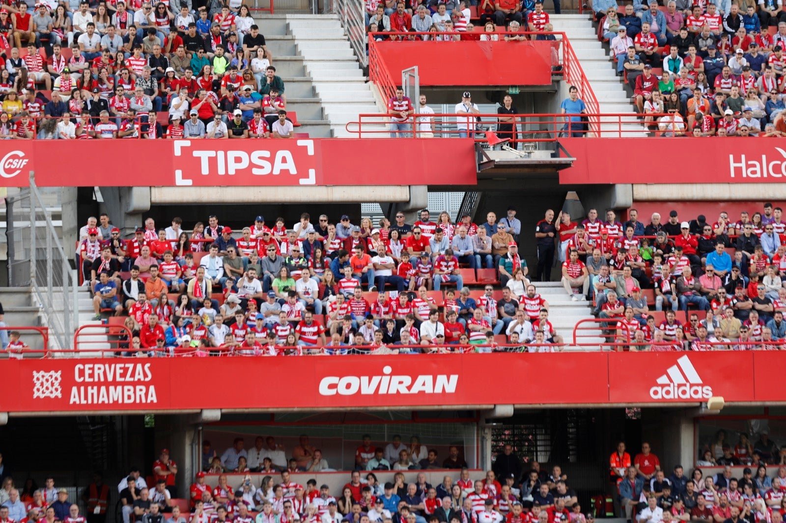 Encuéntrate en la grada en el Granada-Lugo