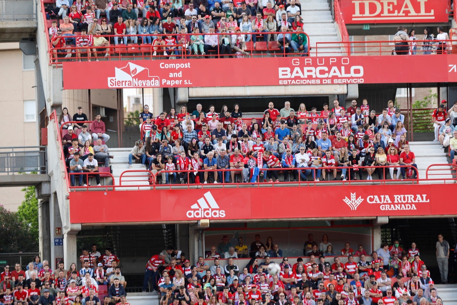 Encuéntrate en la grada en el Granada-Lugo