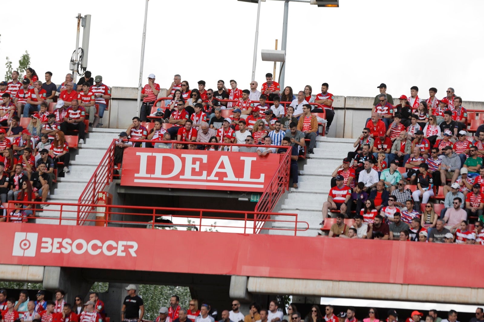 Encuéntrate en la grada en el Granada-Lugo